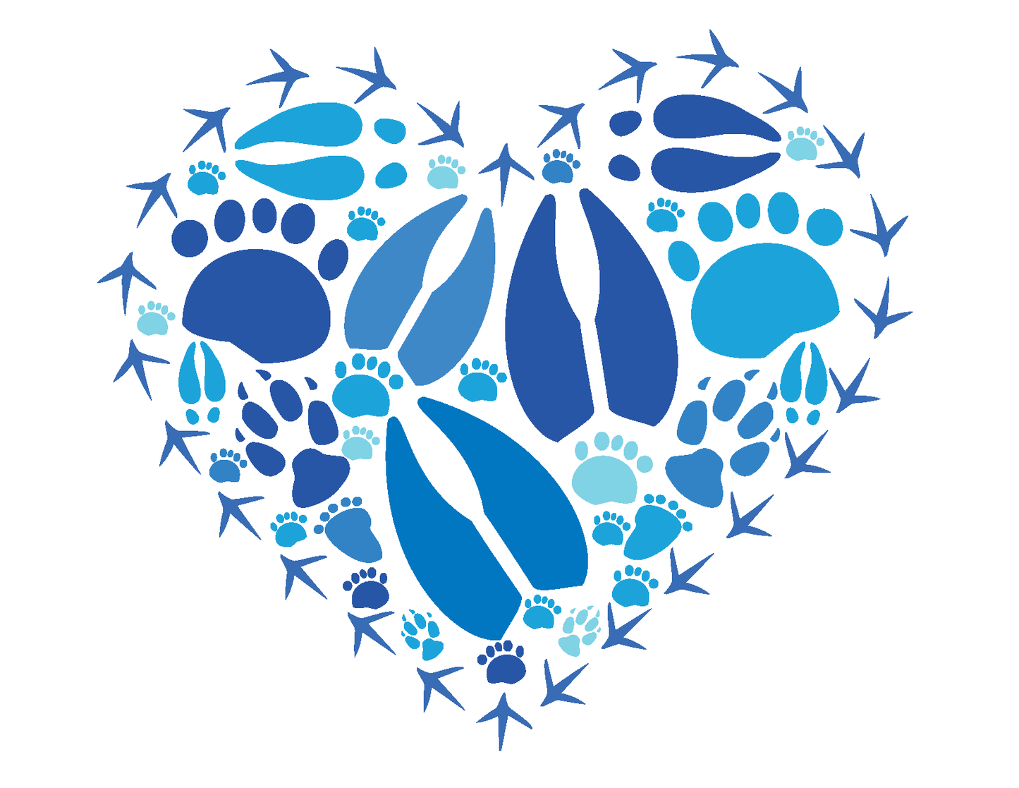 Blue Heart Note Card