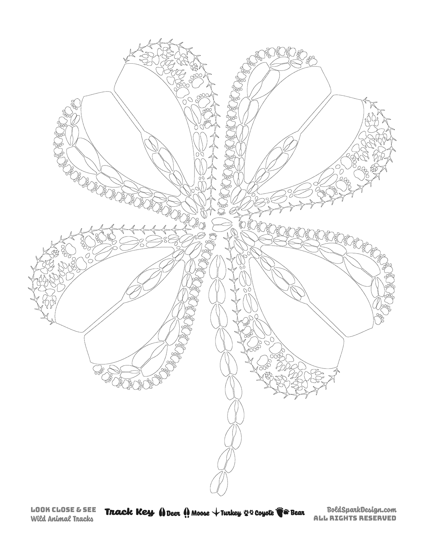Plants & Fungi Coloring Pages