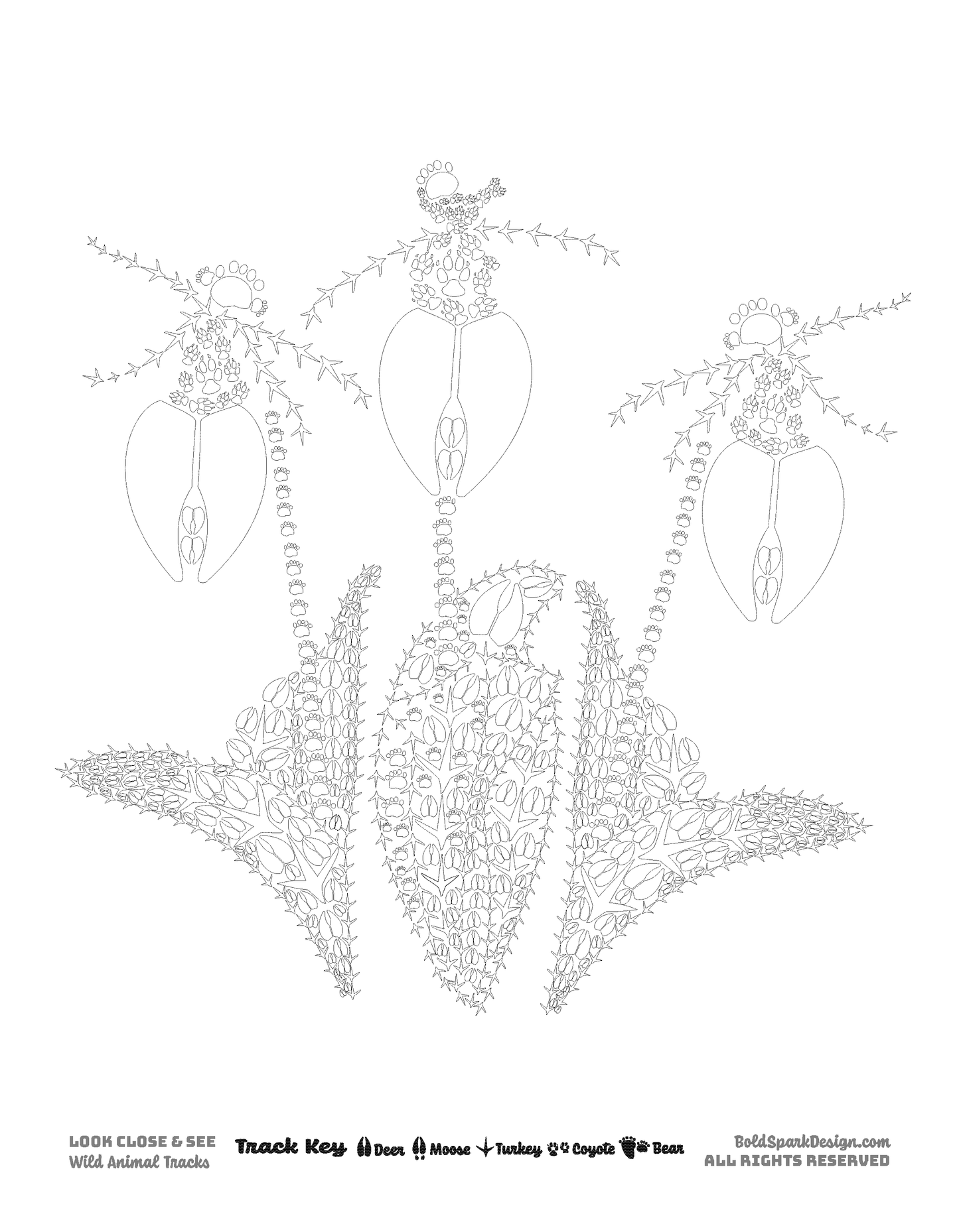 Plants & Fungi Coloring Pages