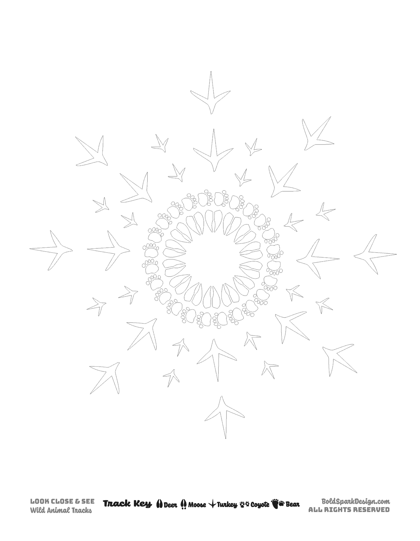 XL Wild Animal Track Coloring Pages