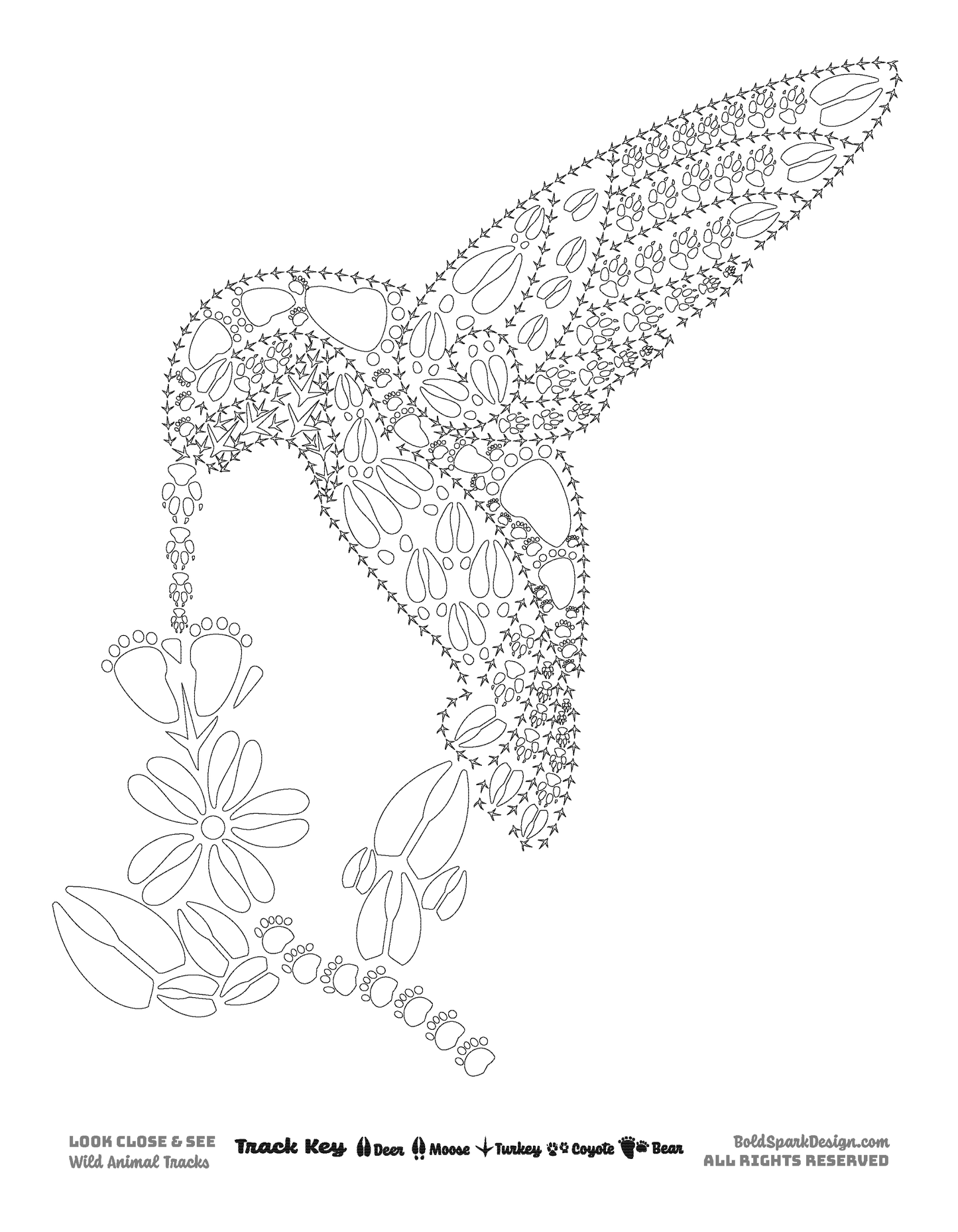 XL Animal Coloring Pages