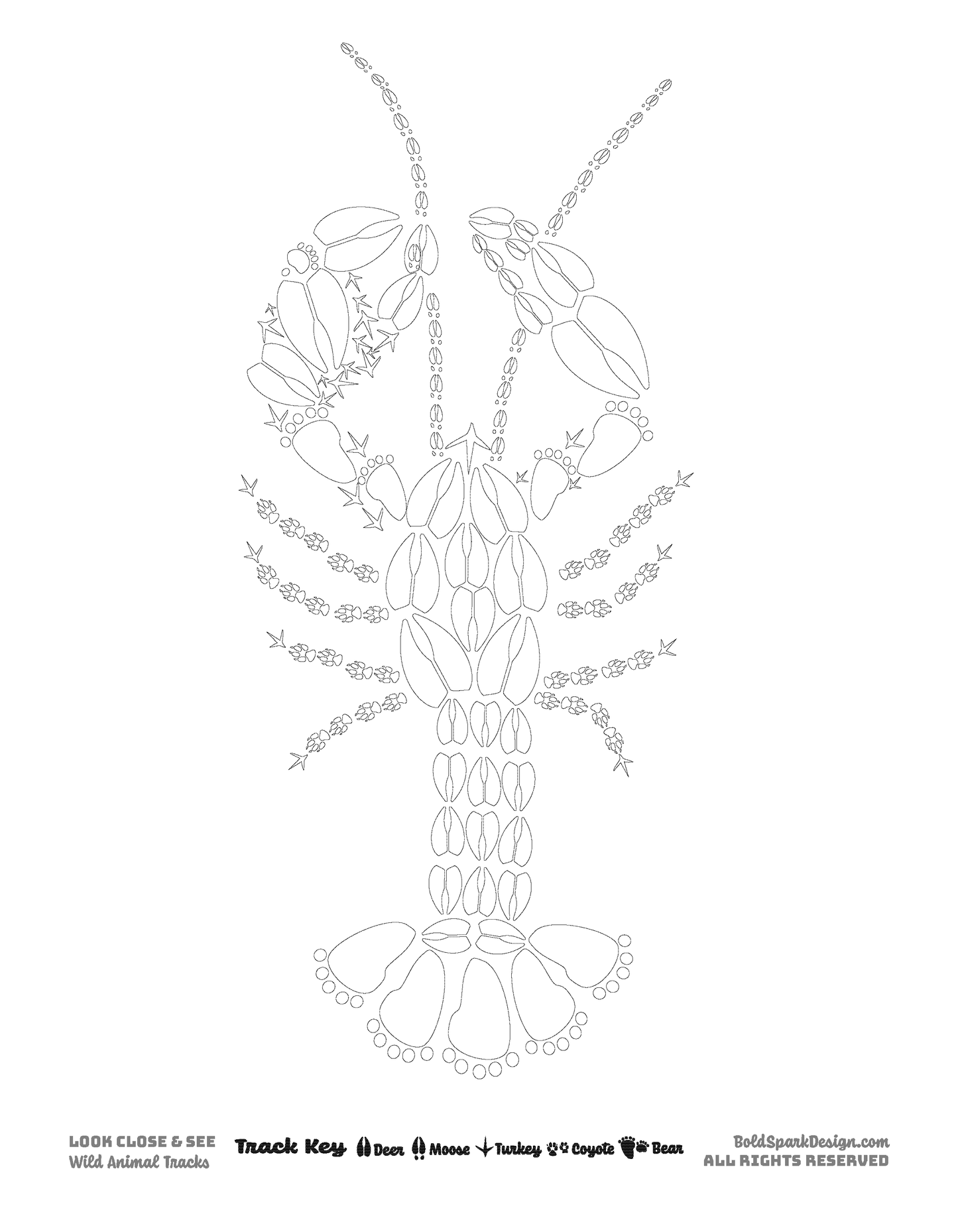 XL Animal Coloring Pages