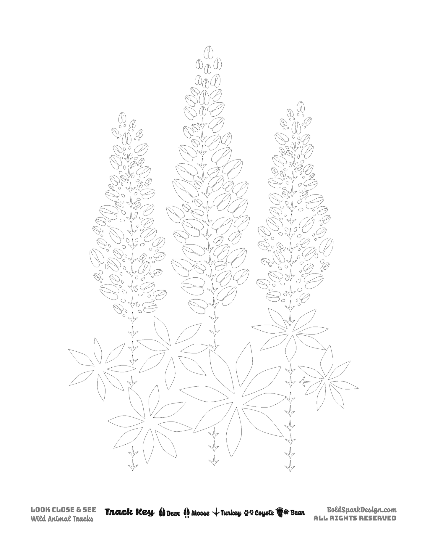 Plants & Fungi Coloring Pages