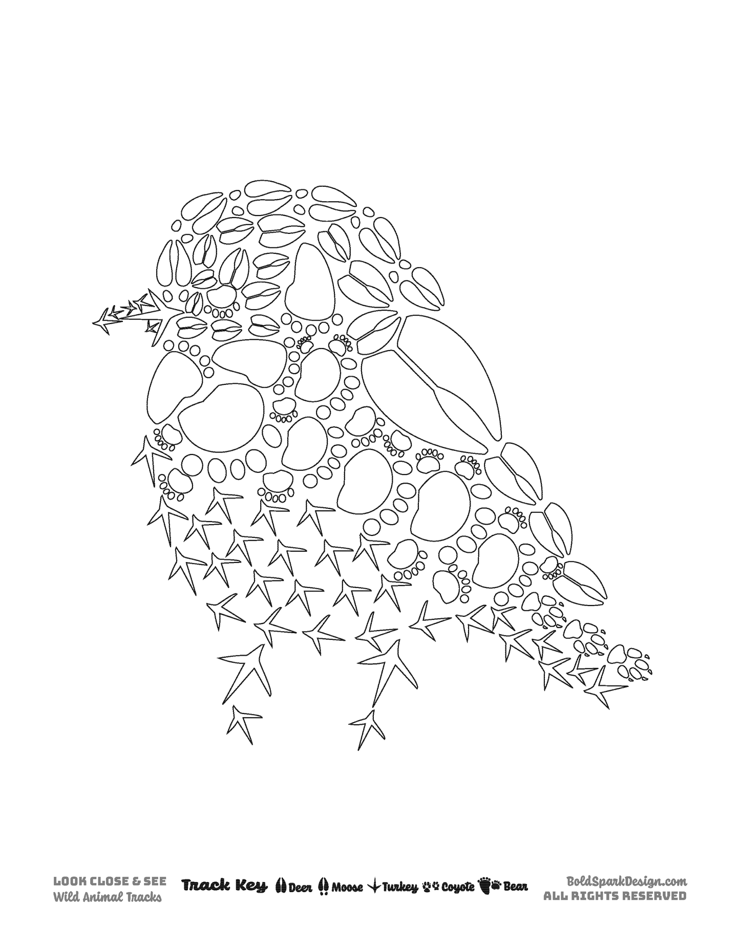 XL Animal Coloring Pages