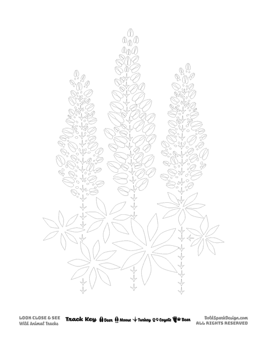 XL Plants & Fungi Coloring Pages